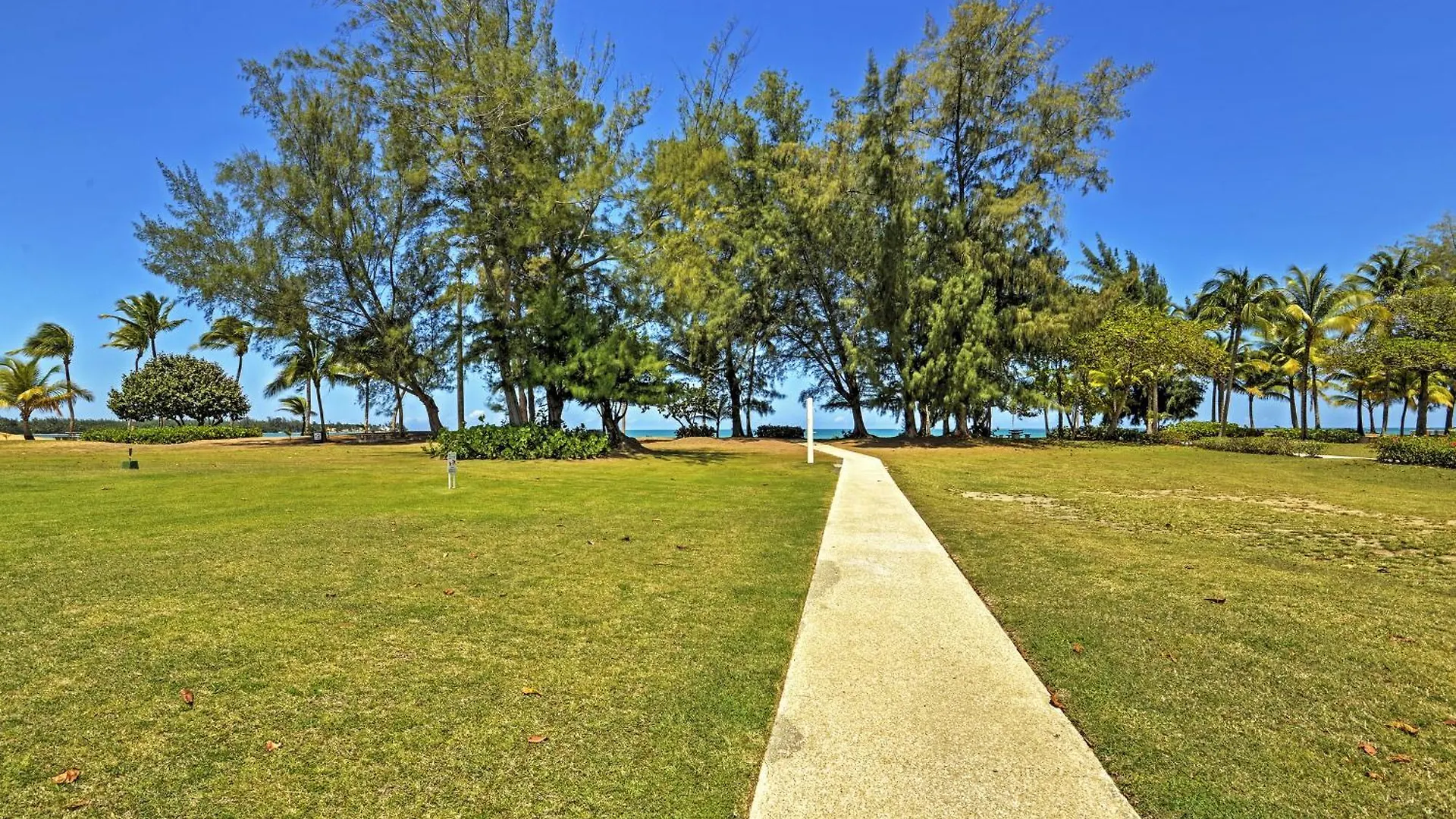Rio Grande Resort Condo With Ocean Views And Patio! 別荘 リオ・グランデ